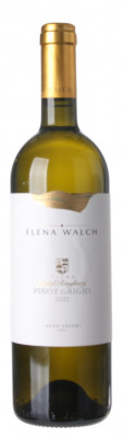 Elena Walch Single Vineyard Pinot Grigio Castel Ringberg 0,75L, DOC, r2022, bl, su