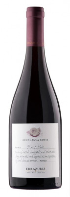 Errazuriz Aconcagua Costa Pinot Noir 0,75L, r2023, cr, su