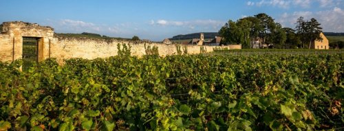 Top vína z Francúzska