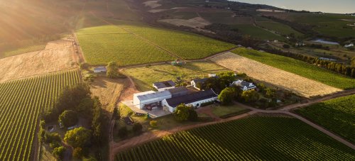 Alto Wine Estate