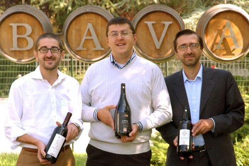 Bava
