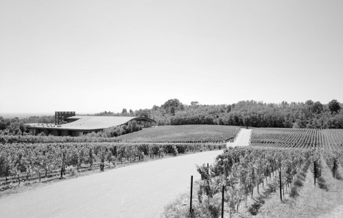 Ca del Bosco