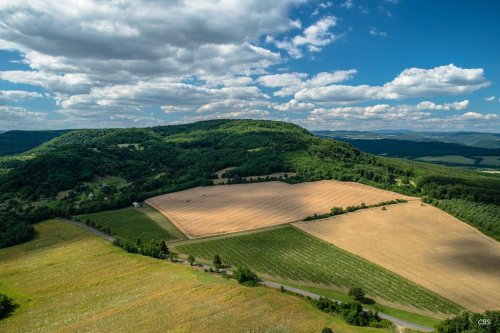 Natural Domin & Kušický