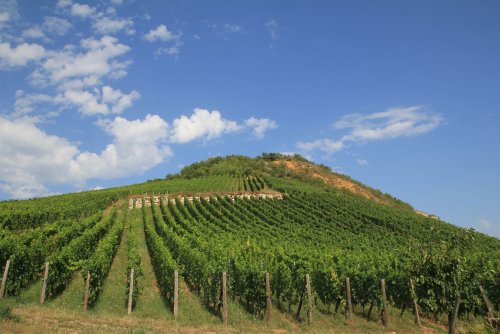 Domaine Zind Humbrecht
