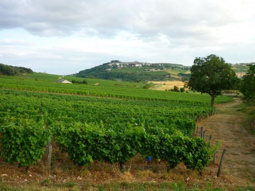 Domain Laporte