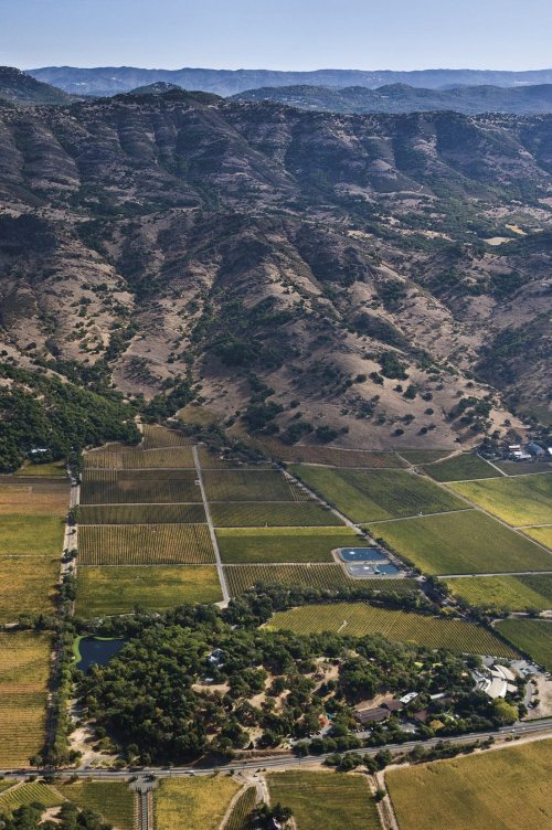 Stag´s Leap Wine Cellars