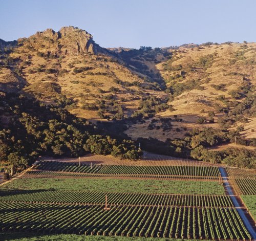 Stag´s Leap Wine Cellars