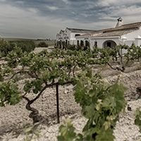 Ximenez Spínola