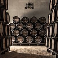 Ximenez Spínola