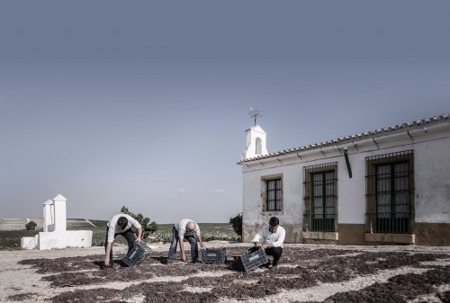 Ximenez Spínola