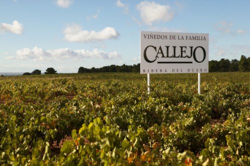 Felix Callejo