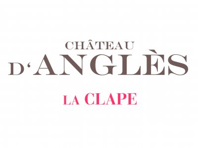 Chateau D'Angles