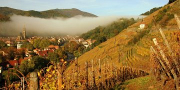 Domaine Zind Humbrecht