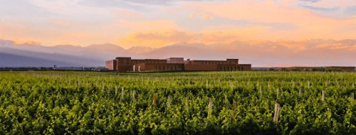 Top vína odrody Malbec