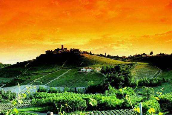 Winery header