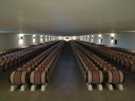 Winery header