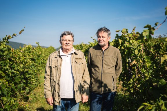 Winery header
