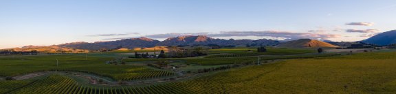 Winery header