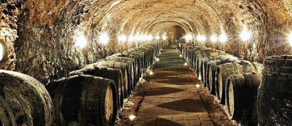 Winery header