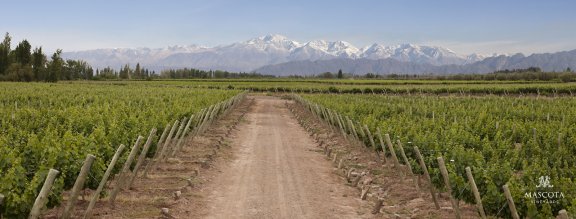 Winery header