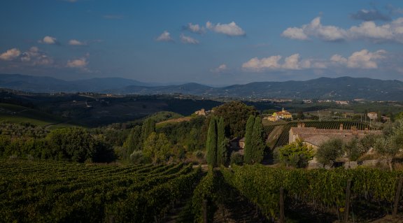 Winery header
