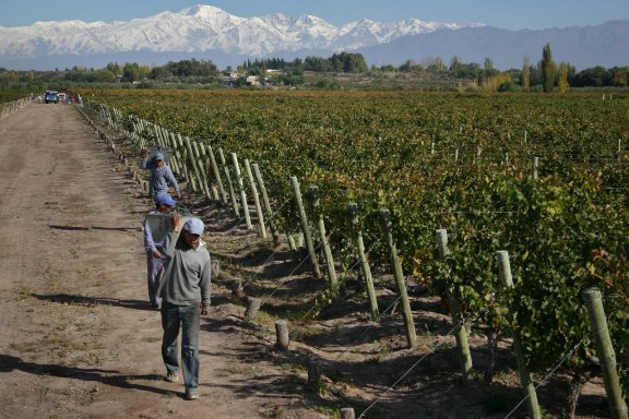 Winery header