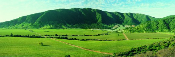 Winery header