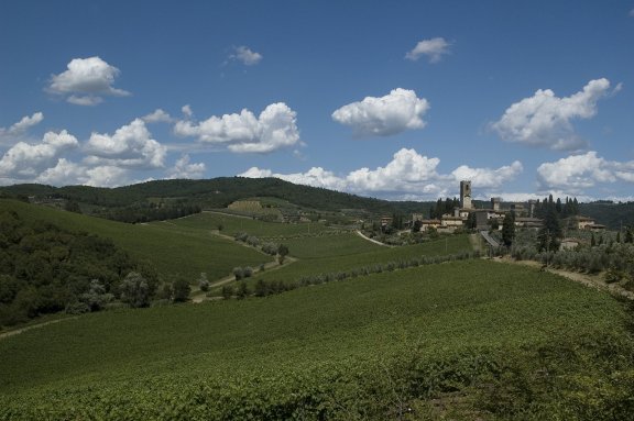 Winery header
