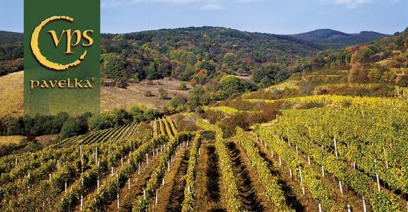 Winery header
